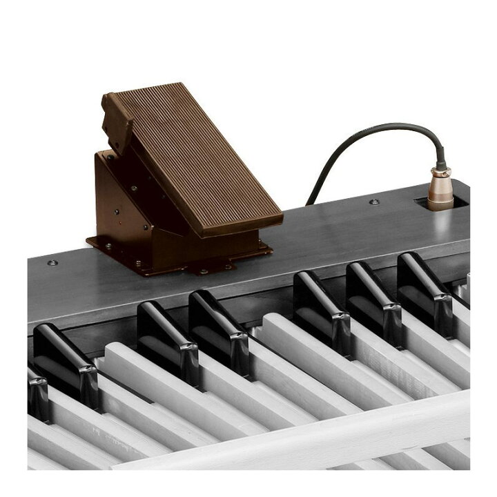 楽天市場】HAMMOND EXP-250 【エクスプレッションペダル】 : イケベ 