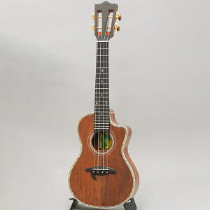 BIG ISLAND KSX-CTG rbOACh