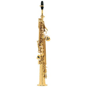 Selmer Paris yH̃X[p[Z[zy`CLY!!z\vmTbNX Z}[ SERIEIII(V[Y3) Wr[ GL w/e(t) y&ZbgAbvoׁzy5NԃL[oXz