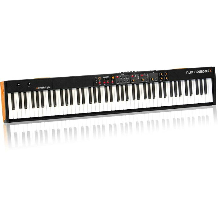 楽天市場】翌日配達 Studiologic 【新楽器応援セール】Numa Compact 2 