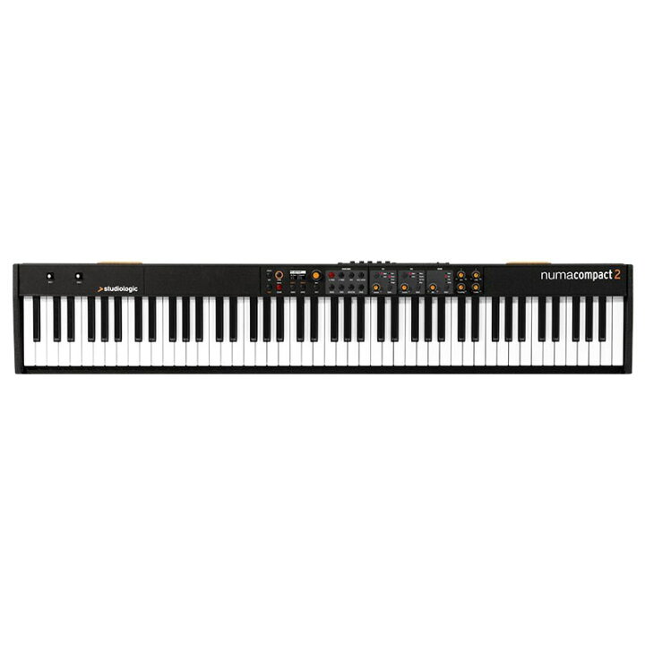 楽天市場】翌日配達 Studiologic 【新楽器応援セール】Numa Compact 2 