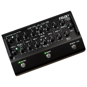 GRACE design y[\z FELiX2(Black) O[XfUC