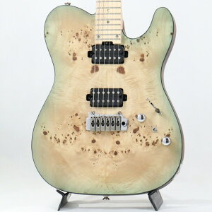 Bacchus Japan Tune-up Series TACTICS24-BP/M (KRB-BS-MH) yDeviser One Day Guitar Show 2024 IizyfBoCU[EeNjJZ^[1NLy[z
