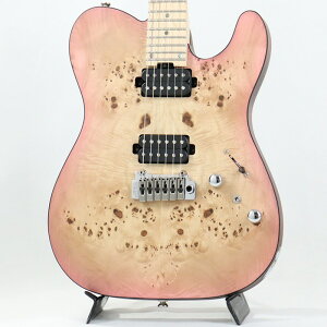 Bacchus Japan Tune-up Series TACTICS24-BP/M (SYP-BS-MH) yDeviser One Day Guitar Show 2024 IizyfBoCU[EeNjJZ^[1NLy[z