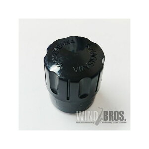 YANAGISAWA iMT GhvO \vmTbNXp vX`bN