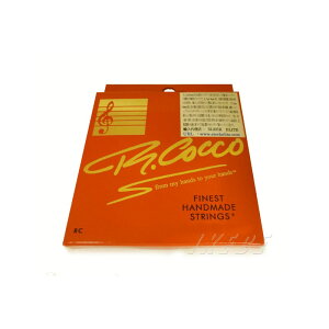 R.Cocco Finest Handmade Guitar String [RC10 (10-46)]