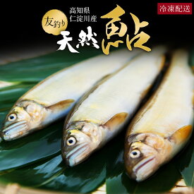 鮎 仁淀川 極上 天然鮎 友釣り鮎 仁淀ブルーで育った天然鮎 高知県産 産地直送 父の日 お中元 御中元 ギフト 海鮮 贈答 誕生日 プレゼント お取り寄せ お取り寄せグルメ 送料無料 翌日配送