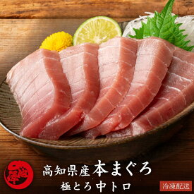本まぐろ 中トロ 高知県産 本マグロ 鮪 プロトン凍結 贈答用 ギフト 誕生日 お取り寄せ グルメ 本鮪 手巻き 海鮮 寿司 刺身 丼 養殖 送料無料