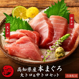 本まぐろ 高知県産 大トロ 中トロ 食べ比べセット 本マグロ 鮪 プロトン凍結 贈答用 ギフト 誕生日 お取り寄せ グルメ 海鮮 寿司 刺身 丼 養殖 送料無料