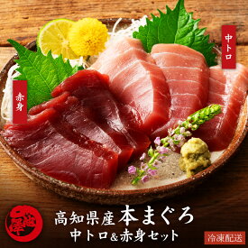 本まぐろ 高知県産 中トロ 赤身 2種食べ比べセット 本マグロ 鮪 プロトン凍結 贈答用 ギフト 誕生日 お取り寄せ グルメ 海鮮 寿司 刺身 丼 養殖 送料無料