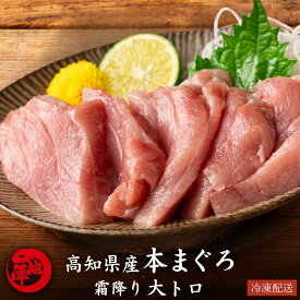 本まぐろ 大トロ 高知県産 本マグロ 鮪 プロトン凍結 贈答用 ギフト 誕生日 お取り寄せ グルメ 本鮪 手巻き 海鮮 寿司 刺身 丼 養殖 送料無料