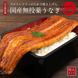 完全無投薬 グルテンフリー 国産 うなぎ 蒲焼き 特大 約250g 安心安全 誕生日 プレゼント ギフト 贈答 お祝い お取り寄せグルメ 送料無料