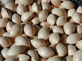 2025年産　10月下旬ごろより3月まで発送予定！【数量限定】長野産　　銀杏　1000g