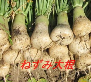 11炢甭\I\̔΁Eǂ񓙂ɁIōłIY@˂ݑ卪ihݑ卪j100g@{ł͂܂