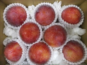 8����{���8�����{�����I���Ɍ��肪����܂��I�y�\����ʉ��i�z�ɏシ�����@�M�z�I�@����Y�y�M�z�z1.5kg�@�G������i�召���݂���j�i��B�E�k�C���E���ꔭ���s�j