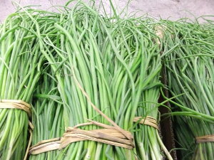 \̔I10{11{炢܂ŔIʂ˂@܂˂̕c@Y@100{(BEkCsj