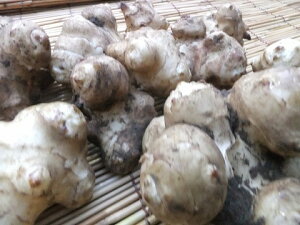 11{4܂Ŕ\IY@eCiLNCj1000g