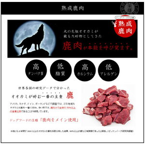 楽天市場 愛がん犬のための和漢みらいのドッグフード 特別療法食 栄養回復 G A N 1個愛がん犬 ペット食事療法栄養回復用療法食腫瘍 癌 抗がん剤使用の愛犬の 健康維持 としてもご使用可能です 自然の森製薬 楽天市場店