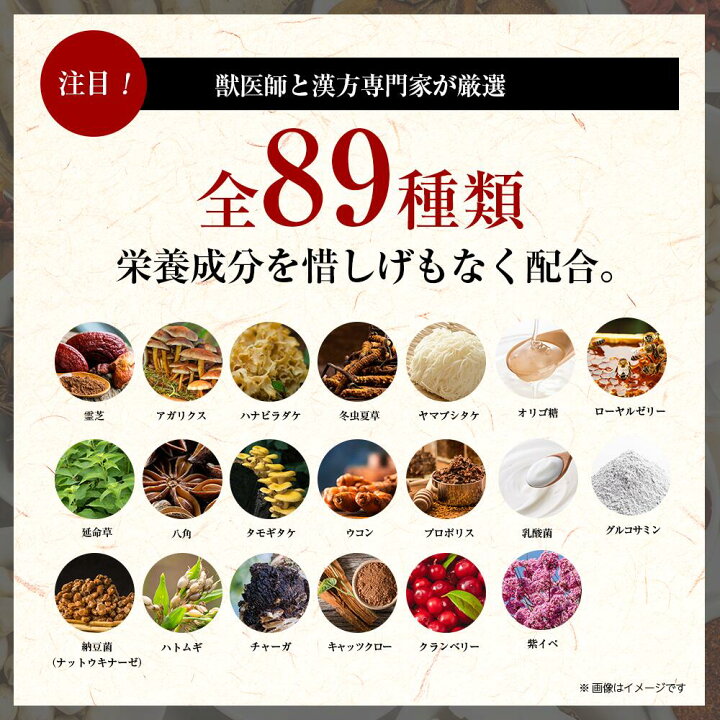 楽天市場】【腎臓】和漢みらいのドッグフード 《2袋セット》特別療法食 