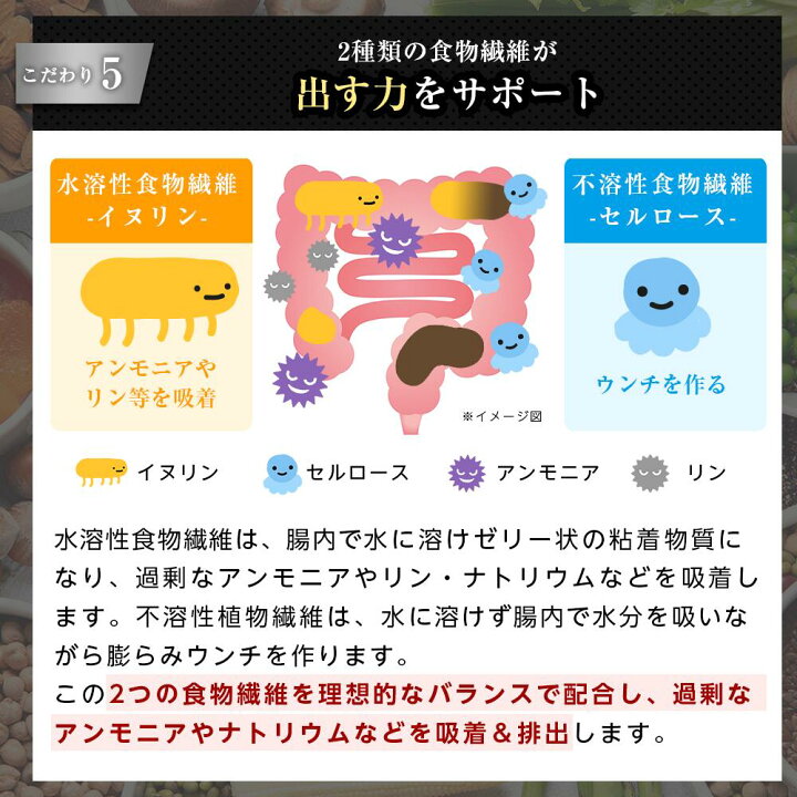 楽天市場】【腎臓】和漢みらいのドッグフード 《2袋セット》特別療法食 
