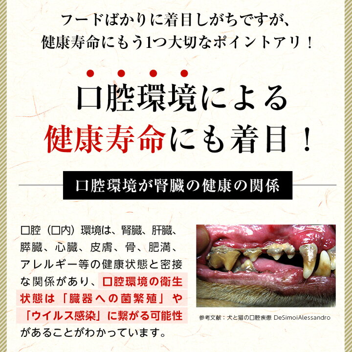 楽天市場】【腎臓用】和漢みらいのドッグフード 《2袋セット》特別療法 