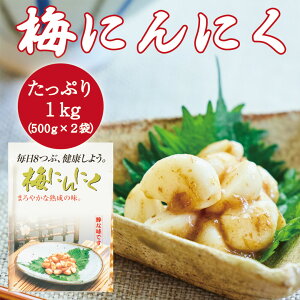 ~ɂɂ 1kg 500g×2 i  ~ jjN ܂ ܂₩ N {s J