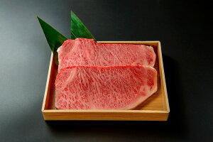 【お中元・御祝・御礼】【送料無料】宮崎牛サーロインステーキ500g(約250g×2枚)