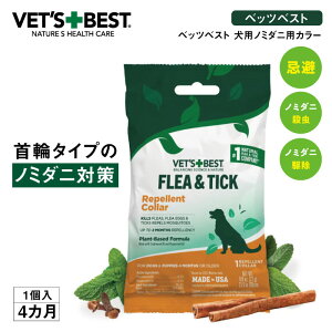 ypzVETfS BEST/xbcxXgÊ݂ɗpJ[1Em~E_j RR100 I[i`