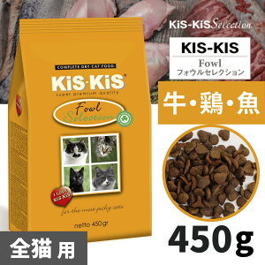 y6ח\zLXLX[KiS-KiS] tHEZNVELph{HE450gEhCt[h @CV K戵X Y Ysgp SL SN I[KjbN R100 La 