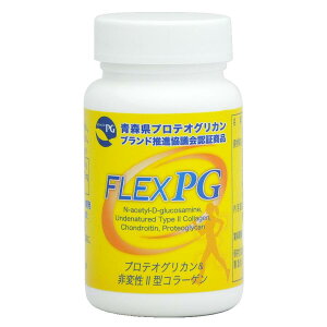 yЂTvgztbNXPG(veIOJ G ֐  ORT~ RhC` ɂ)