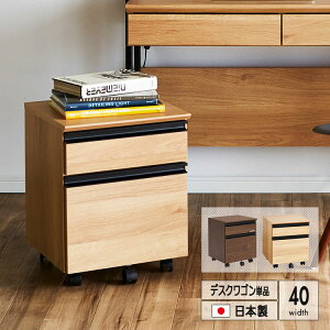 fXNS Pi 50cm { LX^[t [ o 2i tI[v[ S TChS ؖڒ i` uE RpNg ގ[ t@C[ k _