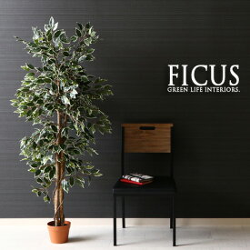 人工観葉植物 H160 FICUS フィカス ゴムの木 インテリア 造花 観葉植物 フェイクグリーン 大型 造り物 インテリアグリーン プレゼント ギフト 目隠し 間仕切り 開店祝い 新築祝い かわいい おしゃれ 送料無料