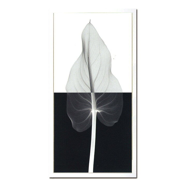 低廉 アートパネル Steven N Meyers スティーブン マイヤーズ Hare S Tail モダン 玄関 アートフレーム アートポスター おしゃれ 絵画 額入り フレーム付き 芸術 天然木 インテリア 壁掛け 寝室 リビング ギフト プレゼント 新生活 大型 送料無料 Ssx Www Numberz Co 低廉 アートパネル Steven N Meyers スティーブン マイヤーズ Hare S Tail モダン 玄関 アートフレーム アートポスター おしゃれ 絵画 額入り フレーム付き 芸術 天然木 インテリア 壁掛け 寝室 リビング ギフト プレゼント 新生活 大型 送料無料 Ssx Www Numberz Co