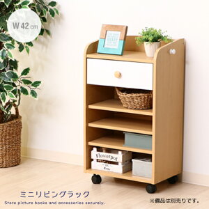 ~jrObN 42 k rO{[h [ ֗  o db {I ȏ G{ LX^[t RpNg 킢 