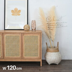 Lrlbg 120cm i ^ `[N C JSԂ  ؐ [I `FXg [ TCh{[h i` Jg[ AWA k Vv rO[  
