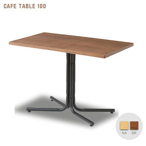 JtFe[u 100 ؐ k AeB[N R[q[e[u ` VR X`[r eB[e[u Z^[e[u lC uE i` 100cm Vv _ 킢