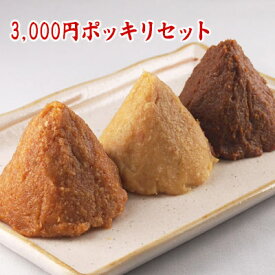 選べる3種類のお味噌3,000円ポッキリセット 信州味噌 仙台味噌 越後味噌 八丁味噌 江戸甘味噌 無添加麦みそ 西京味噌 高山味噌 合わせ味噌 合計1,200g 3,000円 食品 調味料 みそ セット・詰め合わせ 通販 赤味噌 白味噌 セット 【 3000円 】