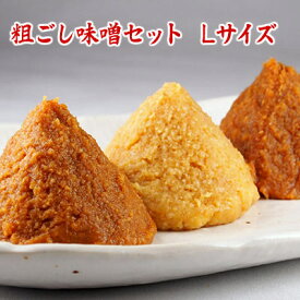 粗（あら）ごし味噌セットL 1,200g 3,000円 仙台こうじ味噌 越後味噌 信州こうじ味噌 お味噌合計1,200g 食品 調味料 みそ セット・詰め合わせ 美味しい 赤味噌 白味噌 セット 【 3000円 買い回り ポッキリ ぽっきり 】