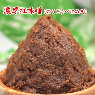 濃厚紅味噌