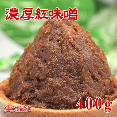 濃厚紅味噌