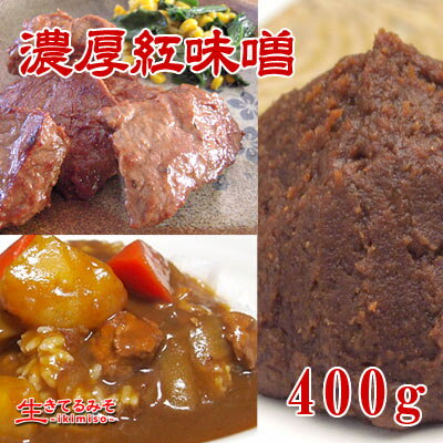 濃厚紅味噌