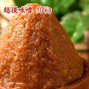 z㖡X 10kg yzysmtb-tz hX ԖX X X ƖpTCY10kg Hi  ݂ Ă݂ `O؂̃XX