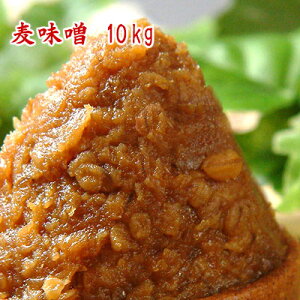 Y X 10kg yzysmtb-tz ƖpTCY10kg X X ÖX ԖX B 茧Y Hi  ݂ ݂