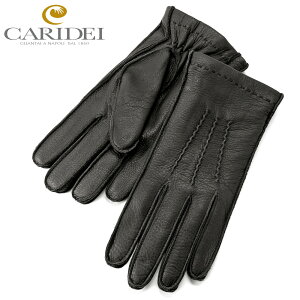 JfC CARIDEI ^ JV~CjOfBAXLO[uu35/19viNERO^ubNjylR|XΉ ^ 1_̂݁EszybsOΉz^ U[O[u  v Y C