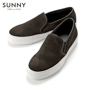 y[RTj[ PELLICO SUNNY ^ yKiz ^ J[tXG[h_u\[Xb|Xj[J[uM001viCONGO^_[NuEj^ Y C^A C V[Y U[Xj[J[ U