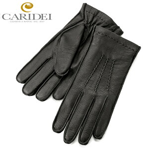 JfC CARIDEI ^ JV~CjOfBAXLO[uu35/19viNERO^ubNjylR|XΉ ^ 1_̂݁EszybsOΉz^ U[O[u  v Y C