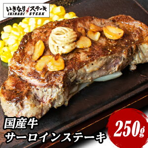 サーロイン ブロック 肉 牛肉の人気商品 通販 価格比較 価格 Com