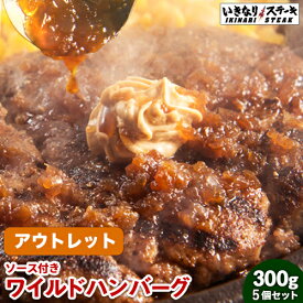 楽天市場 ワイルド ハンバーグの通販