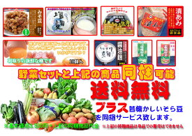 【送料無料】九州・熊本県玉名産野菜セット(同梱ができる）