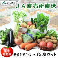 キャベツ1玉入 九州 熊本県 JAたまな 直売所 直送 玉名産 新鮮 野菜セット 熊本名産 トマト 入っています…